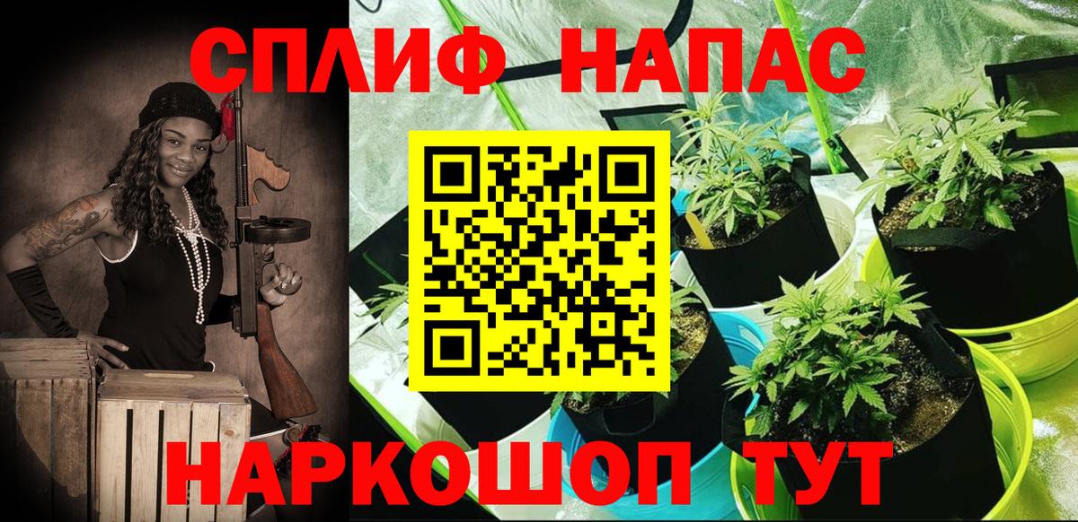 МАРИХУАНА план Сафоново